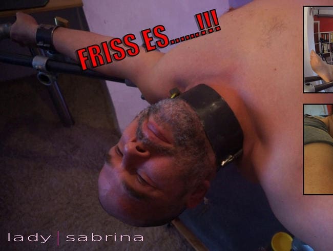 Friis dein Sperma