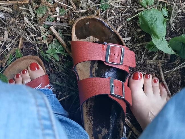 Birkenstock nass gemacht...