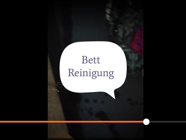 Bett Reinigung