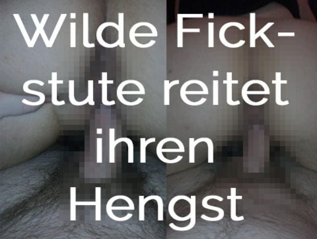 Geile Fickstute reitet ihren Hengst