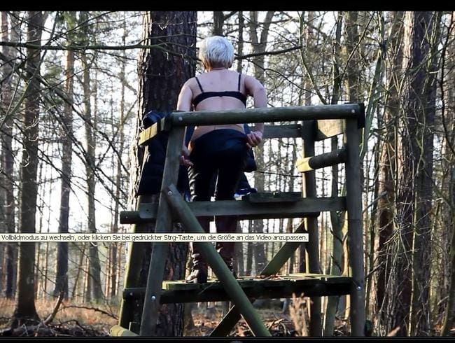 Im Wald da sind die .....oder der böse Wolf !