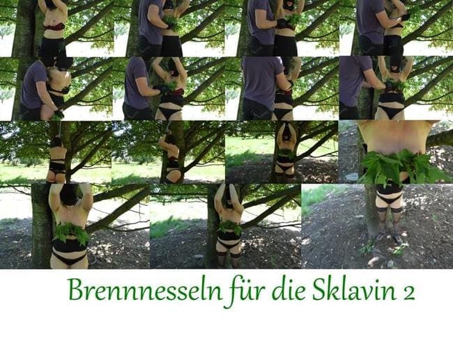 Brennnesseln für die Sklavin 2