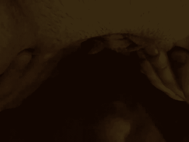 Oraler Orgasmus