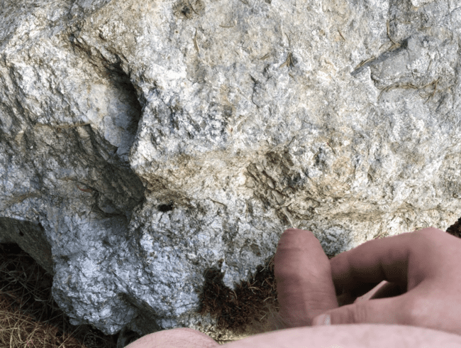 Auf einen Stein Natursekt gießen