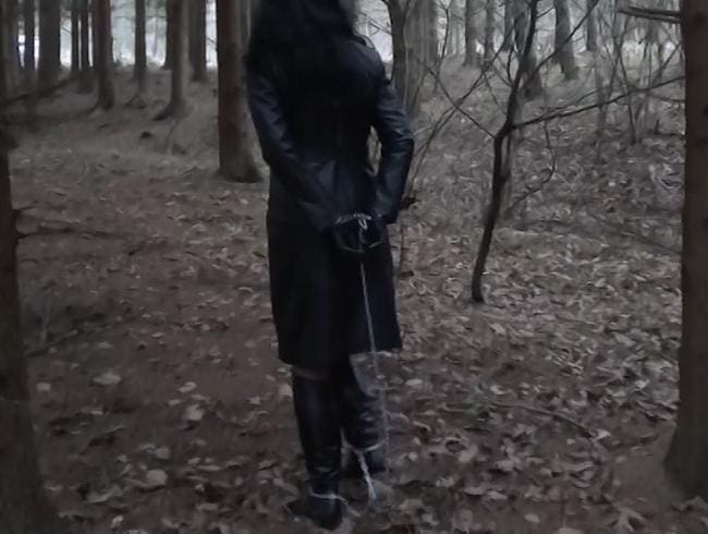 A walk in the woods with handcuffs