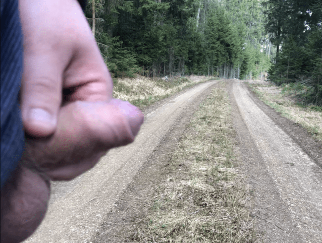 Mutprobe auf Gehweg Jungschwanz reiben