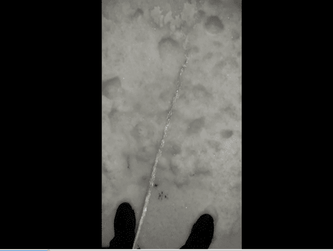 in den Schnee gepisst Teil 1