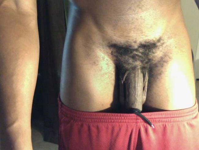 ass and dick