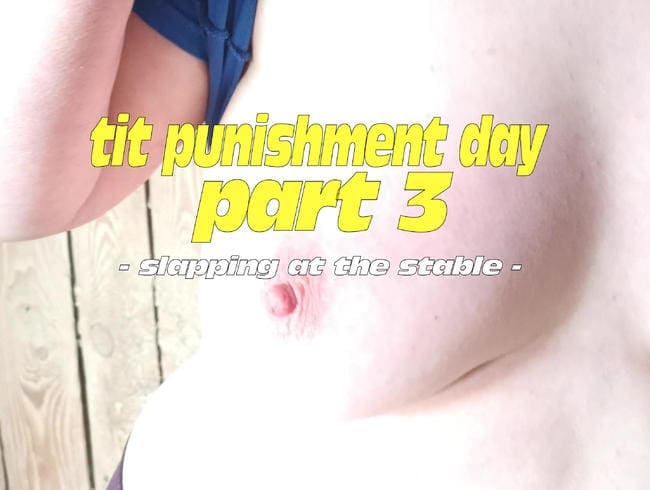 Tit Punishment Day - Part 3