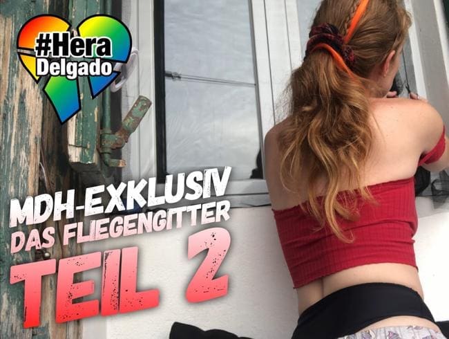 Das Fliegengitter - TEIL 2