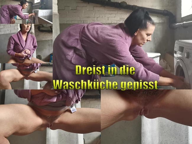 Dreist in die Waschküche gepisst