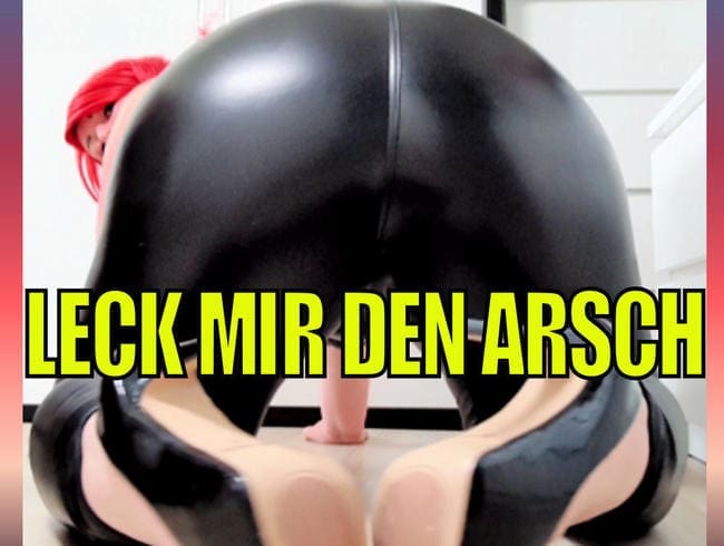 LECK MIR DEN ARSCH