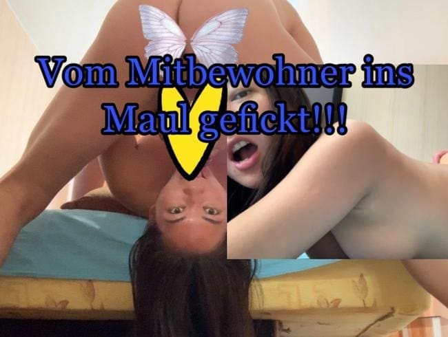 Vom Mitbewohner ins Maul gefickt!!!