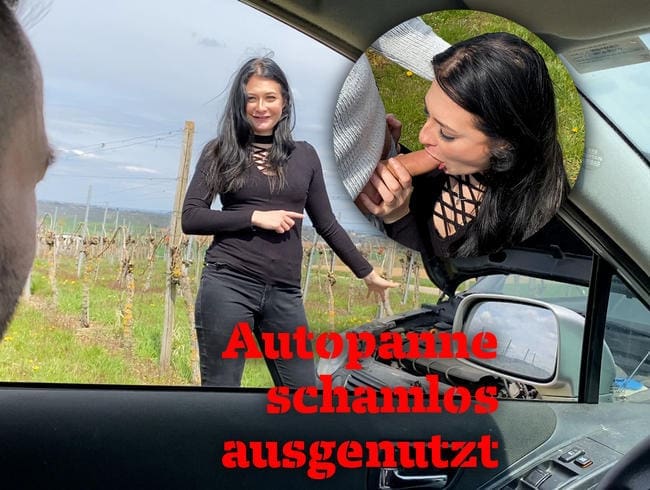 Mitten im Weinberg - Autopanne schamlos ausgenutzt!!