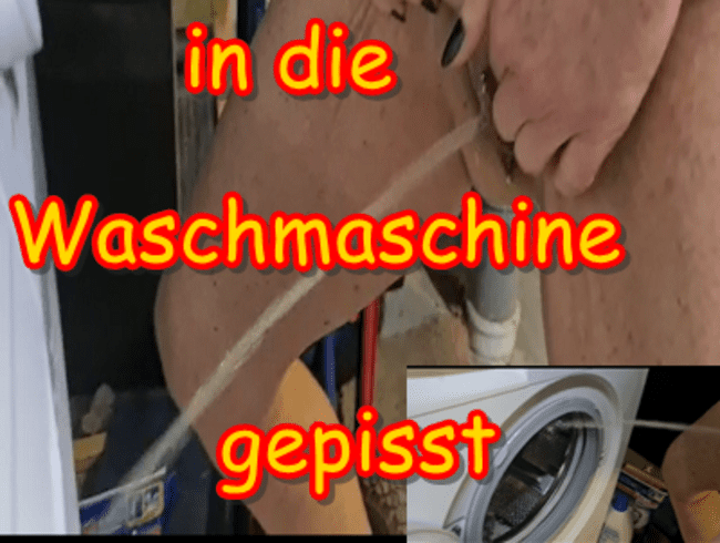 Nachbarin in die Waschmaschine gepisst,